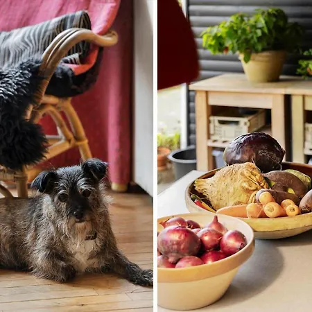 8965-allingabro-hasselvej-3 Dom wakacyjny *